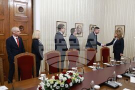 Президентство - ПП-ДБ - консултации