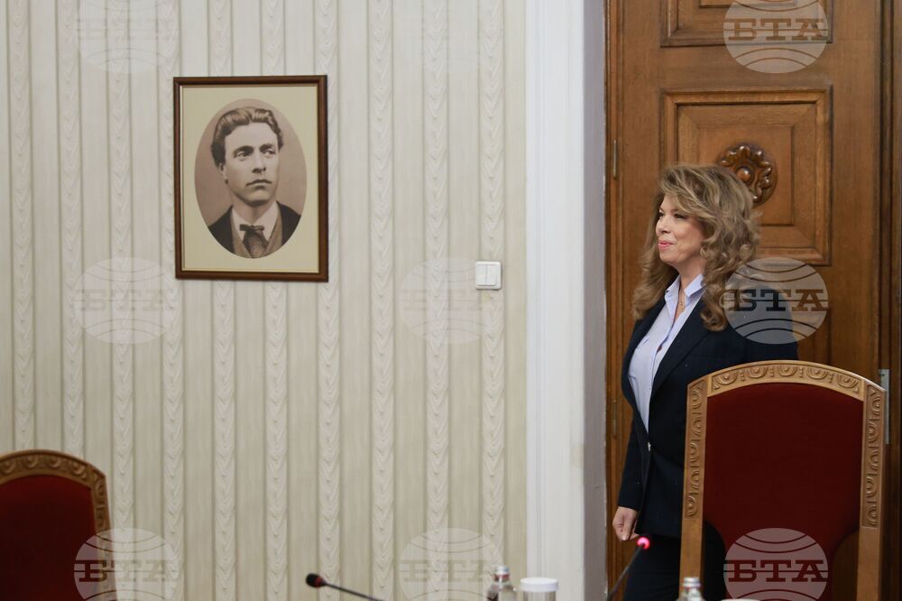 Президентство - ПП-ДБ - консултации