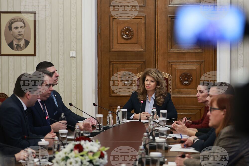 Президентство - ПП-ДБ - консултации