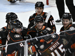 Predators Ducks Hockey