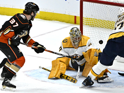 Predators Ducks Hockey