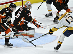 Predators Ducks Hockey