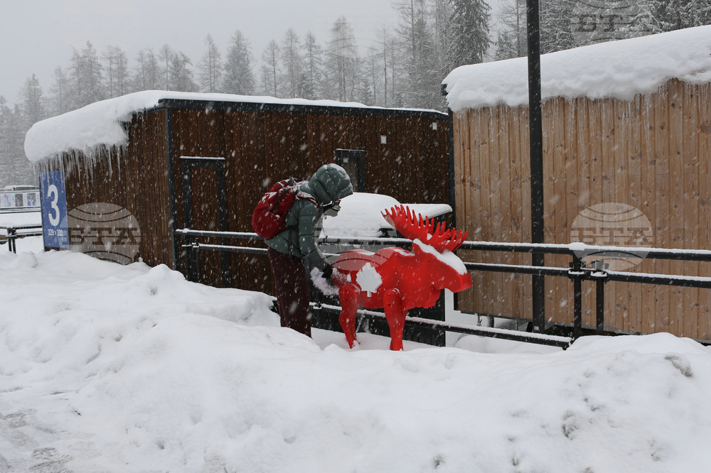 Milan Cortina Olympics