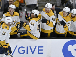 Predators Ducks Hockey
