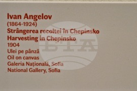 Румъния - Букурещ - Владимир Димитров-Майстора и Иван Ангелов - изложба