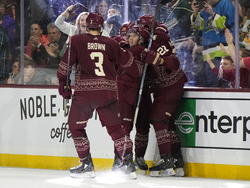 Wild Coyotes Hockey