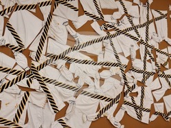 Румъния - Букурещ - Владимир Димитров-Майстора и Иван Ангелов - изложба