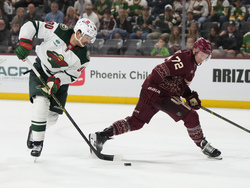 Wild Coyotes Hockey