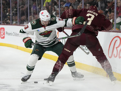 Wild Coyotes Hockey