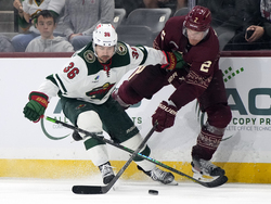 Wild Coyotes Hockey