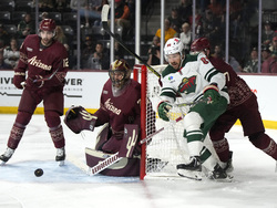 Wild Coyotes Hockey