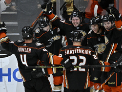 Predators Ducks Hockey
