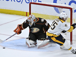 Predators Ducks Hockey