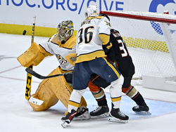 Predators Ducks Hockey