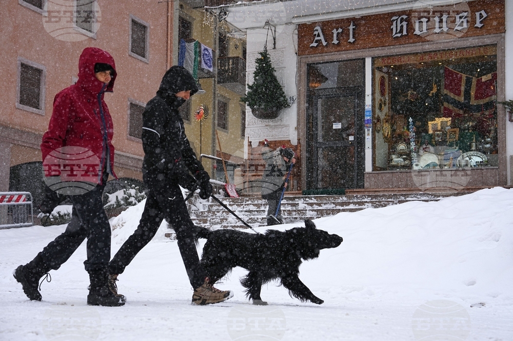 Milan Cortina Olympics