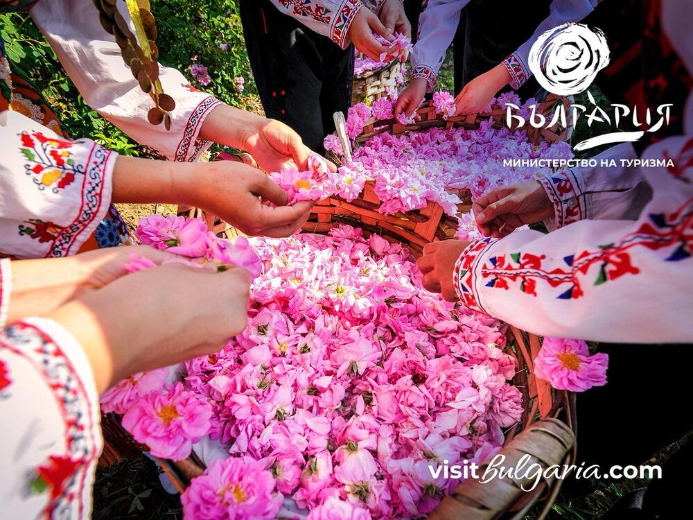 Tourism Ministry Supports Bulgaria’s Bid to Inscribe Rose Valley on UNESCO’s Intangible Cultural Heritage List