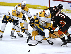 Predators Ducks Hockey