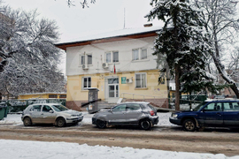 Монтана - горско стопанство - дървесина