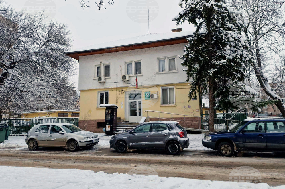 Монтана - горско стопанство - дървесина