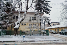 Монтана - горско стопанство - дървесина