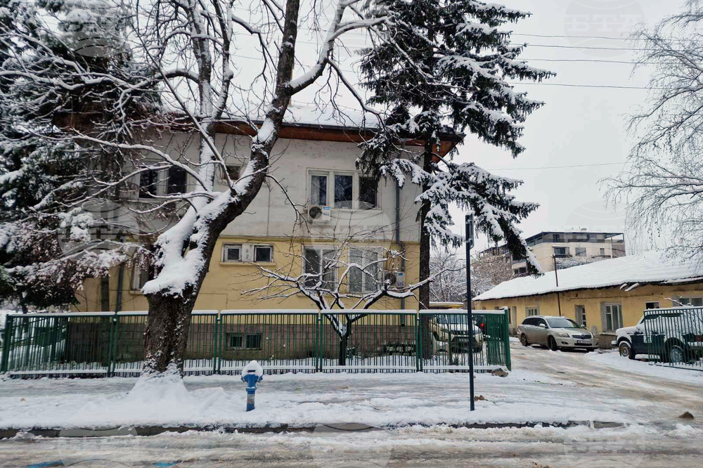 Монтана - горско стопанство - дървесина