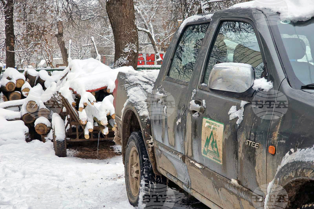 Монтана - горско стопанство - дървесина