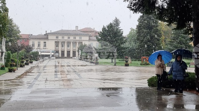 Област Враца е била на четвърто място по размер на работната заплата за 2024 г., сочи отчет на НСИ