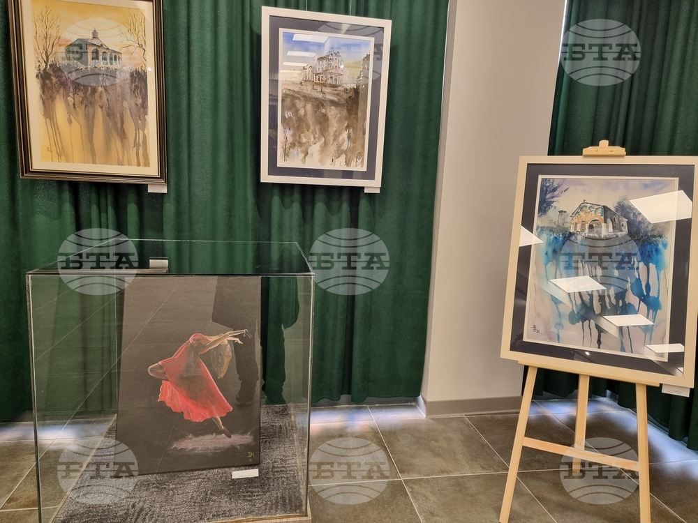 Радомир - „Свързани чрез изкуството“ - изложба