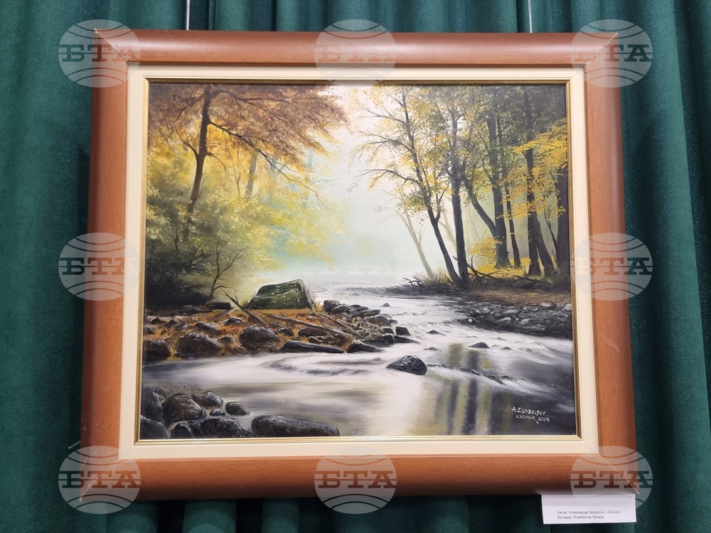 Радомир - „Свързани чрез изкуството“ - изложба