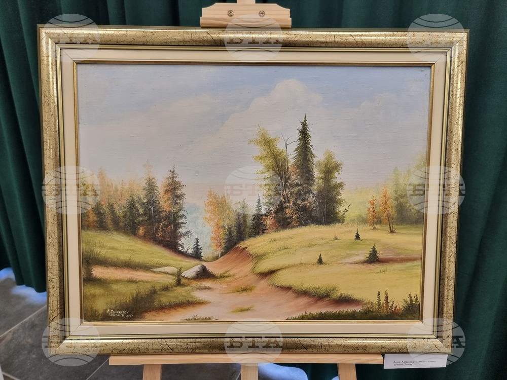 Радомир - „Свързани чрез изкуството“ - изложба