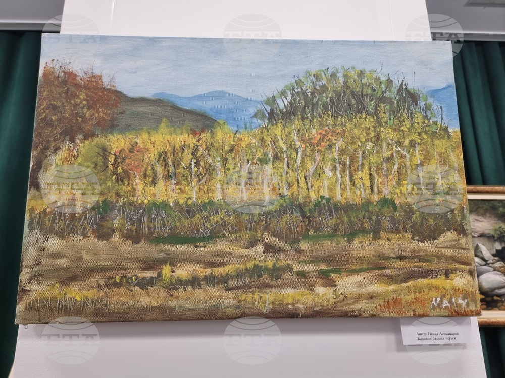 Радомир - „Свързани чрез изкуството“ - изложба