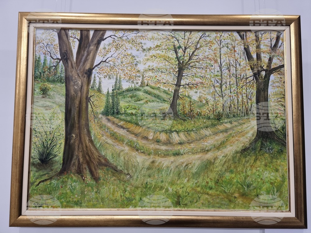 Радомир - „Свързани чрез изкуството“ - изложба