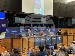 Радан Кънев - доклад - ЕП / Снимка: БТА