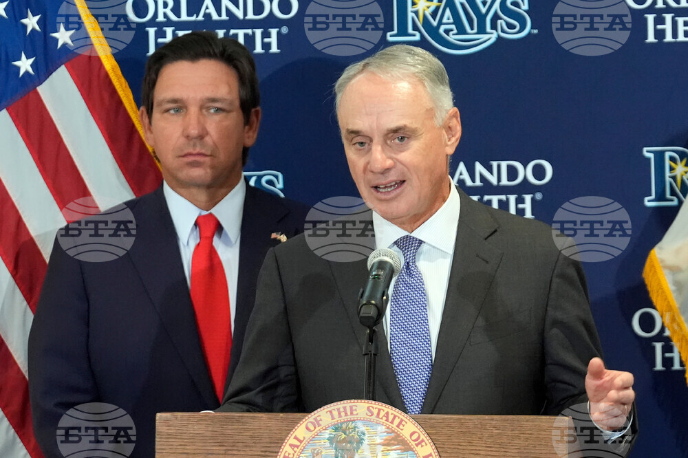 Rays Stadium Baseball