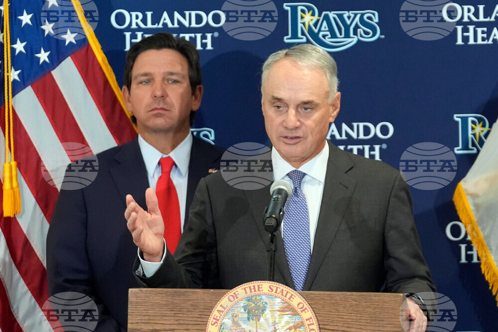 Rays Stadium Baseball