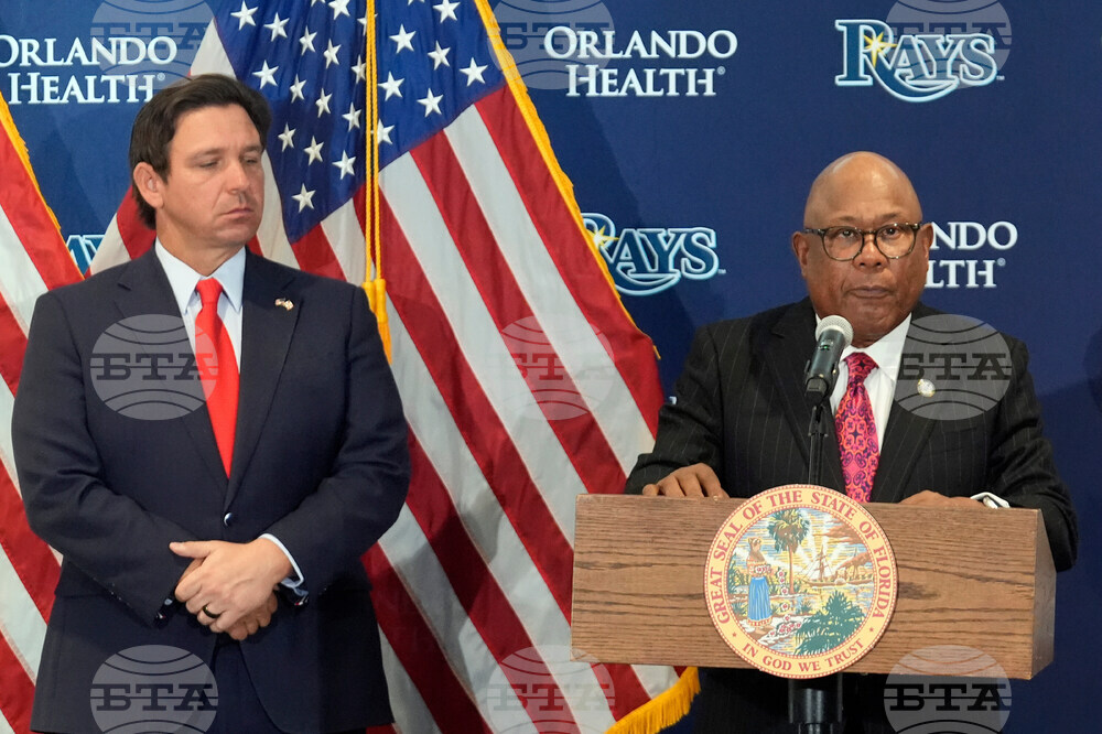 Tampa Bay Rays Stadium Baseball