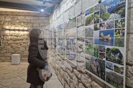 Разград - „Света гора Атон – география на духовността“ - изложба