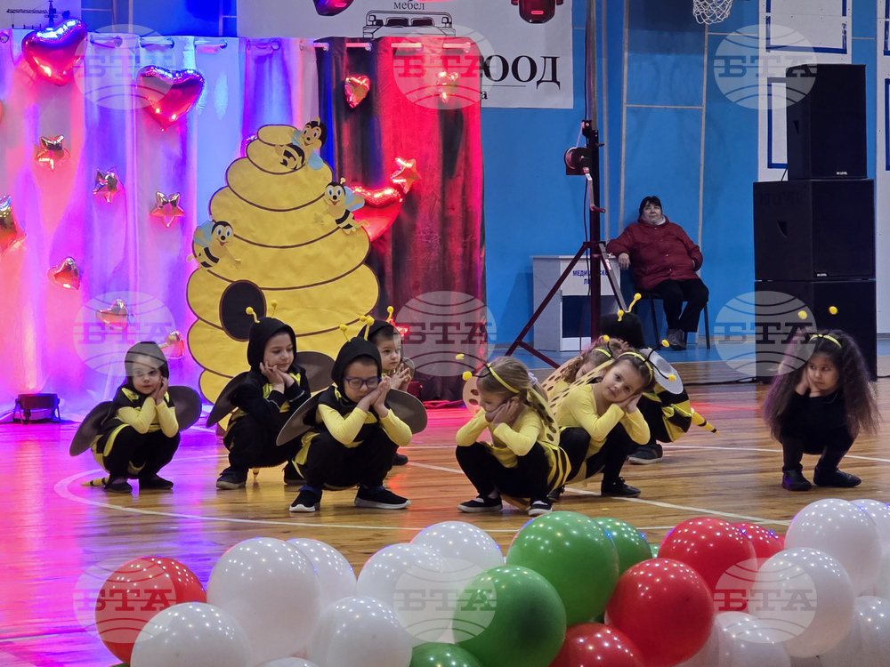 Видин - благотворителен концерт и базар