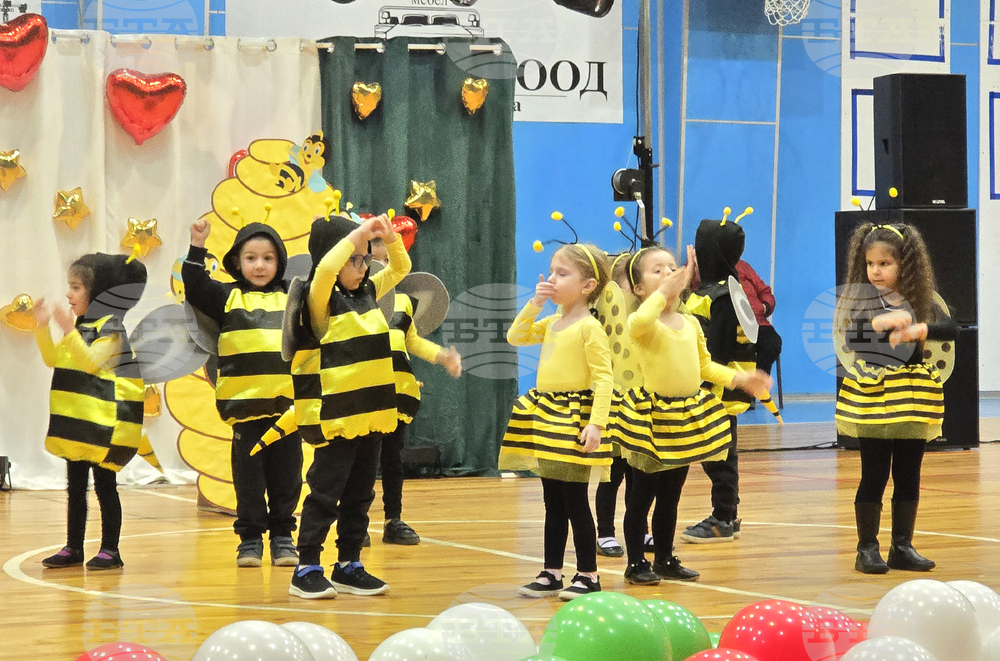 Видин - благотворителен концерт и базар