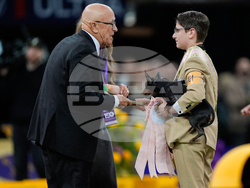 Westminster Dog Show