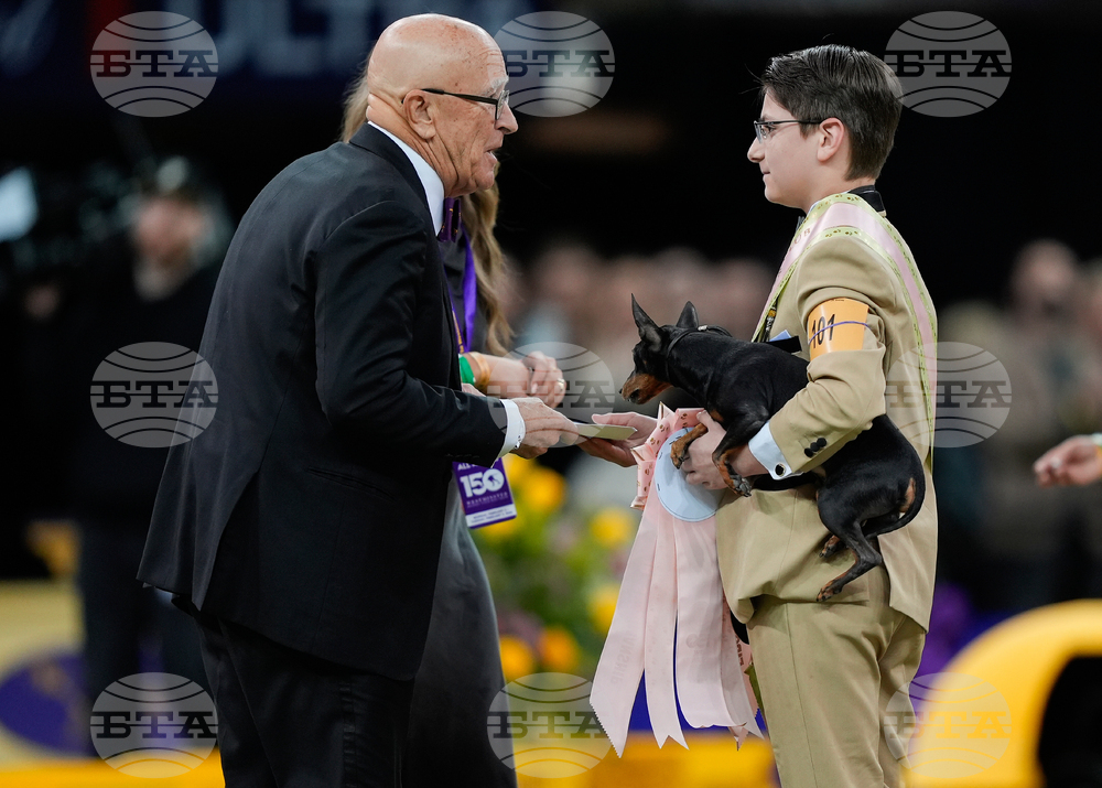 Westminster Dog Show