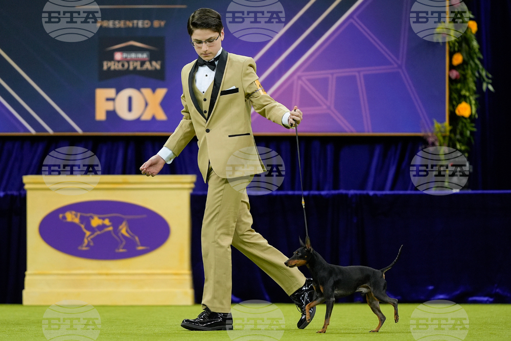 Westminster Dog Show