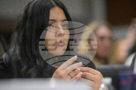 Congress Immigration Enforcement