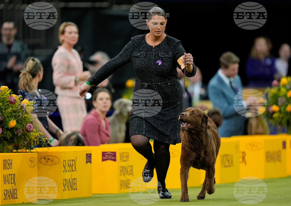 Westminster Dog Show