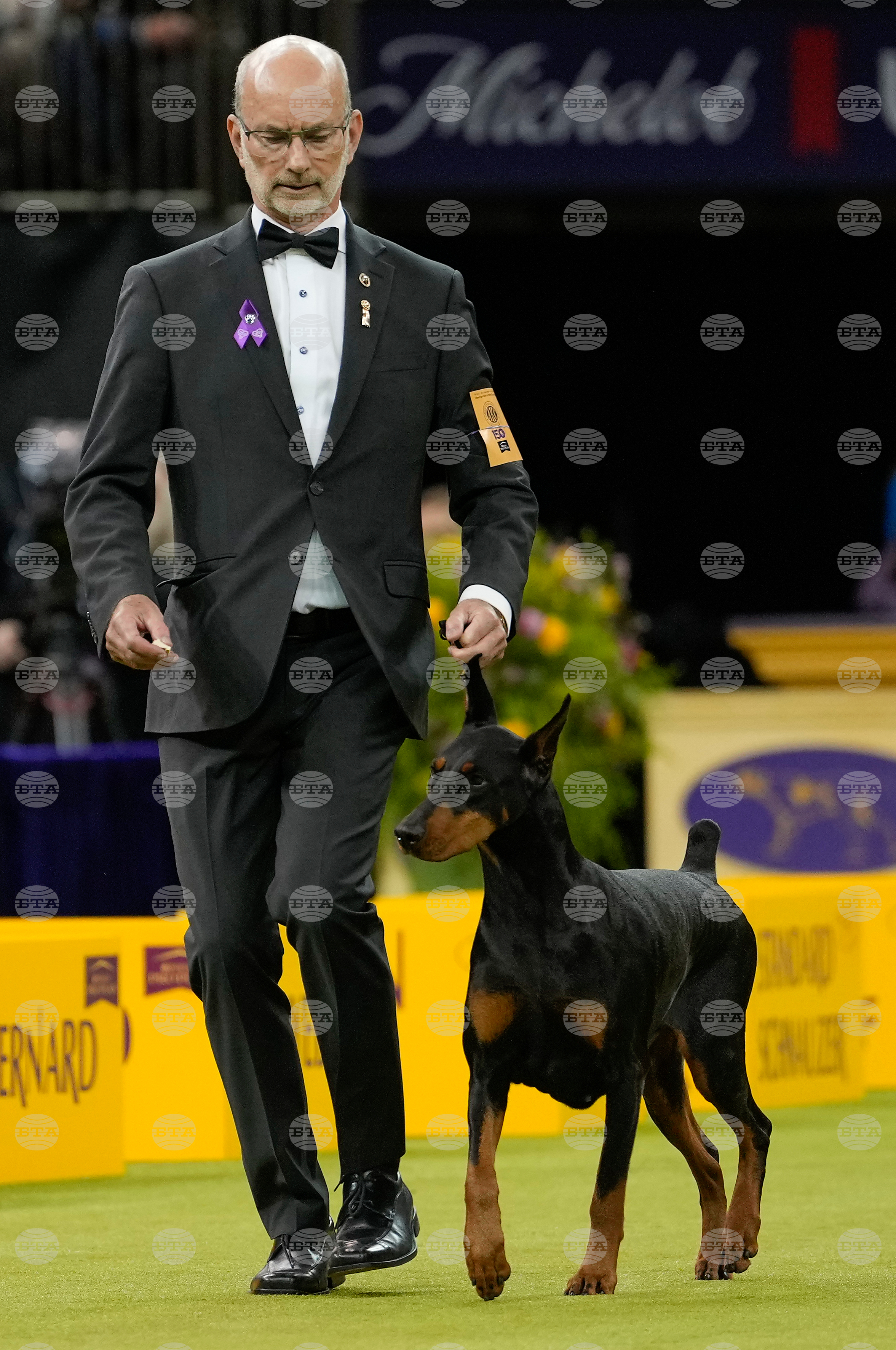 Westminster Dog Show
