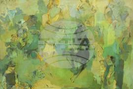 Видин - ретроспективна изложба - Евстати Маринов