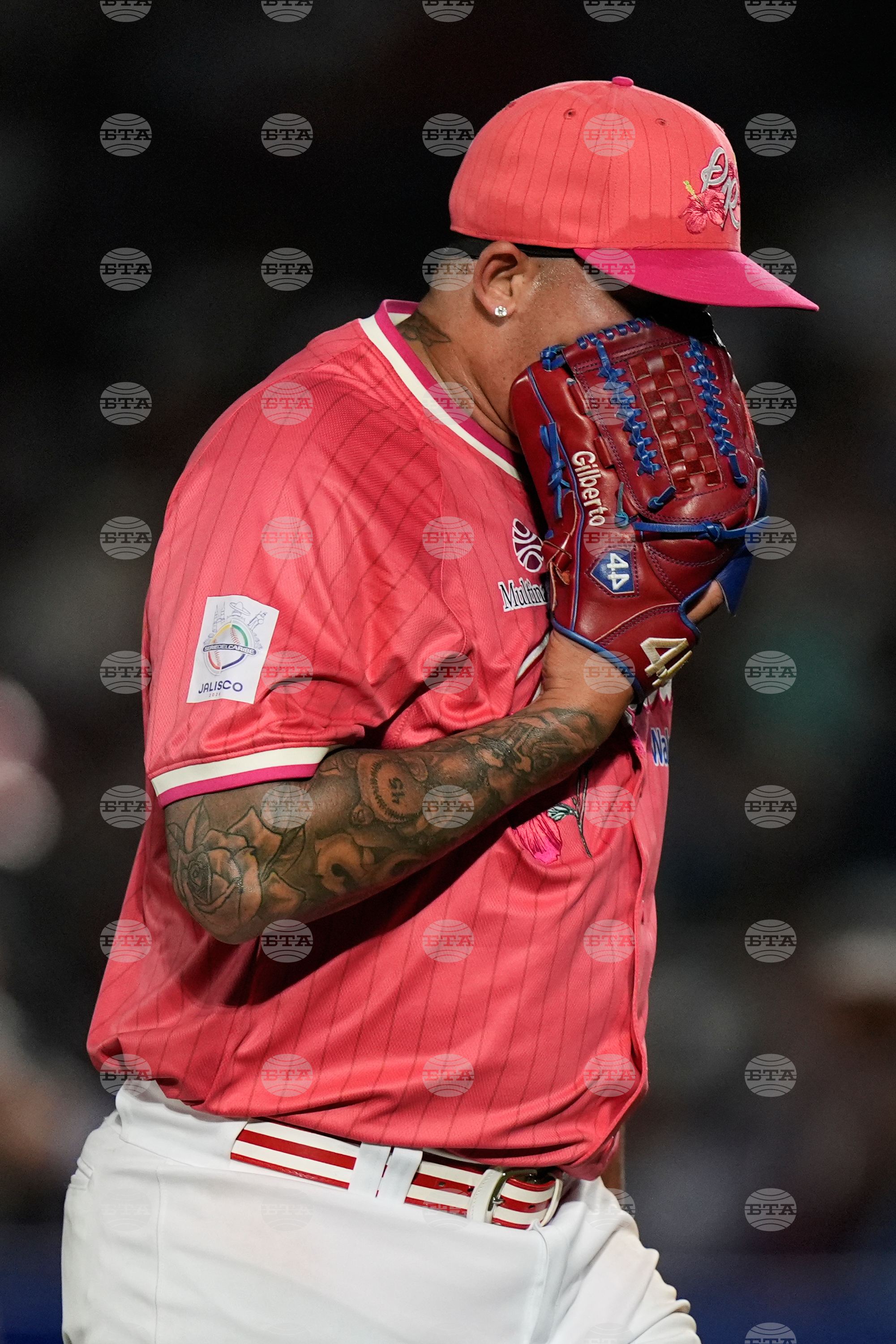 Mexico Puerto Rico Baseball