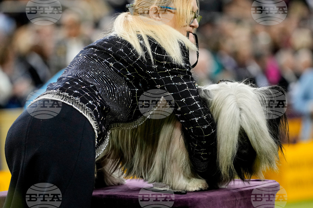 Westminster Dog Show