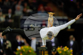 APTOPIX Westminster Dog Show