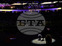 Westminster Dog Show